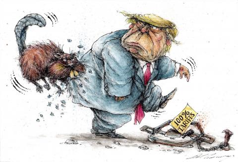 Canadian beaver chews Trump's butt.