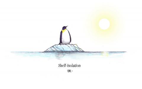 An lone penguin on a small ice shelf in the middle of nowhere under the burning sun.