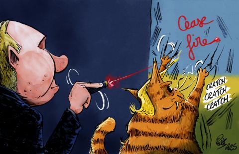 Vladimir Putin plays with a laser light, writing "Cease Fire" on a wall colored in the Ukrainian flag. A big fat orange cat surprisingly similar to Donald Trump tries to catch the laser light, scrating and damaging the wall in his hunt. 