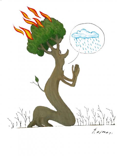 The cry of the tree