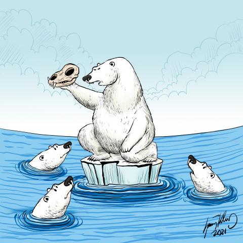 Environment and climate crisis