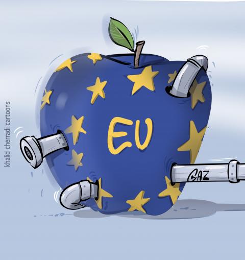 Scandals of bribery and gas money surround the European Parliament