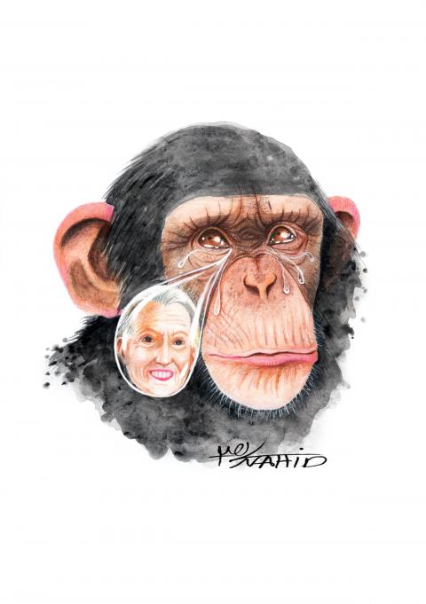 Jane Goodall.