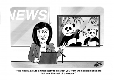 At the end of every news broadcast they like to have a 'good' news story. More important now than ever.