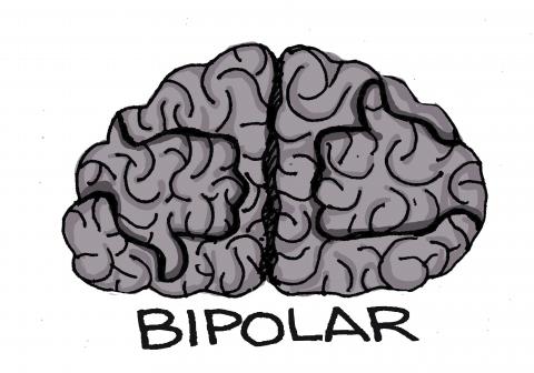 Bipolar brain
