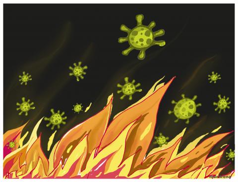 California fires