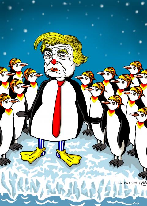 Trump democracy