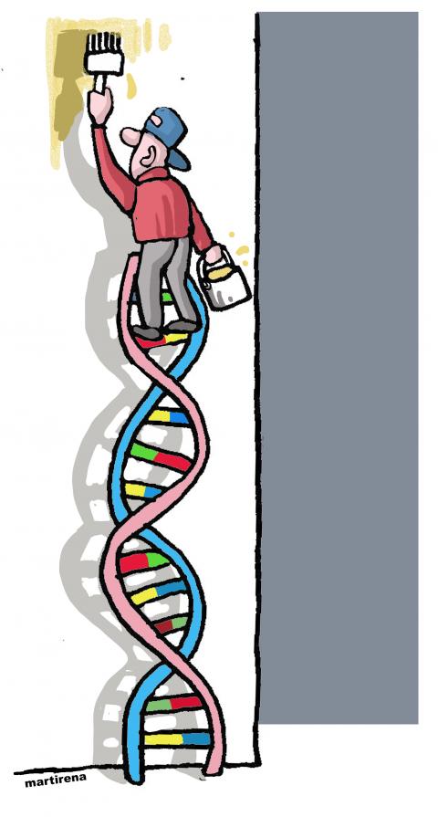 The DNA ladder