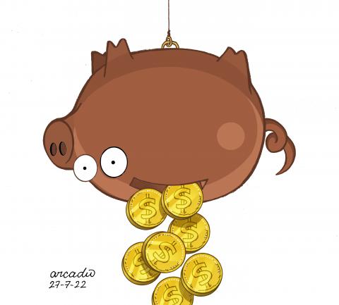 Governments waste their budgets.