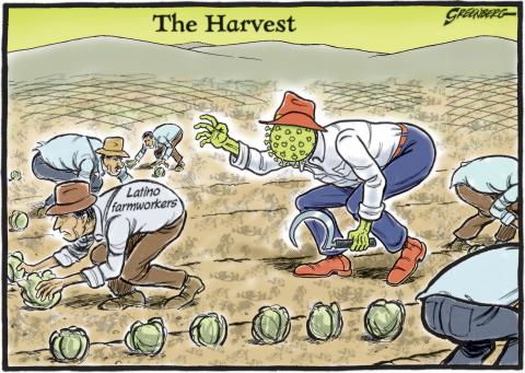 Farmworkers Harvest