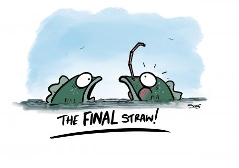 Final Straw