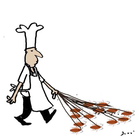 The Cook's Pets