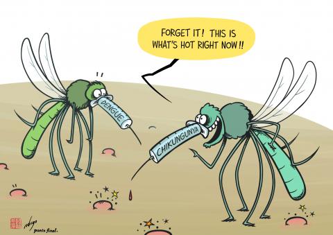 Chikungunya virus has already been detected and transmitted in 119 countries globally, putting 5.6 billion people at risk