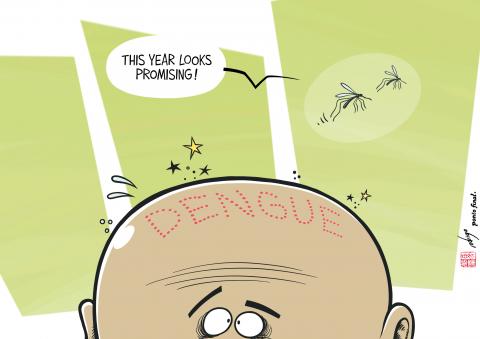 Dengue fever cases in Europe are on the rise
