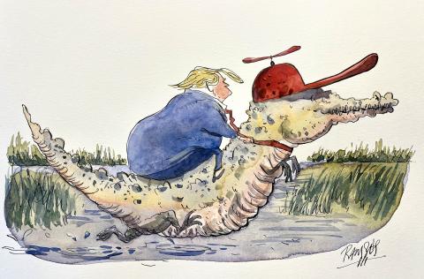 The swamp raider 
