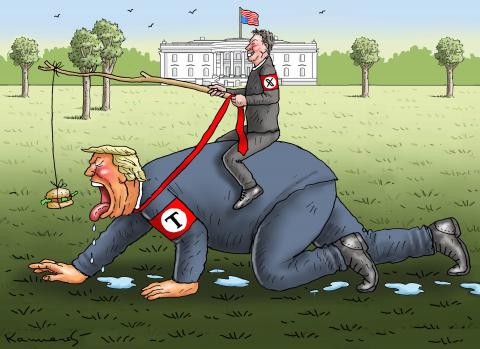 WALKING THE DOG