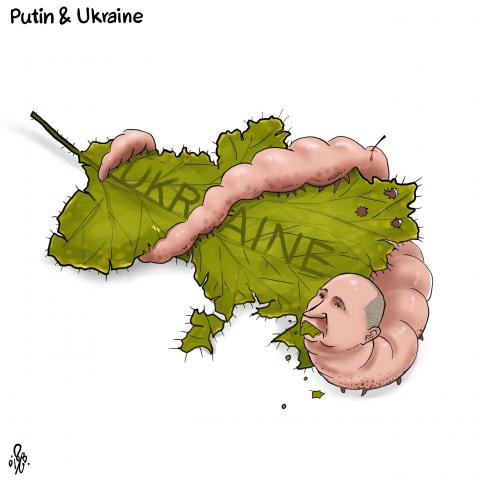  The falling green leaf 