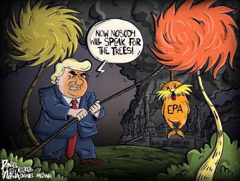 Environmental Protection Agency (EPA)