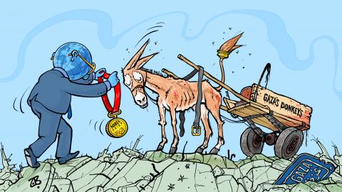 Gaza’s Nobel Donkeys 