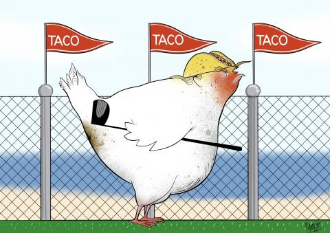 T. A. C. O.