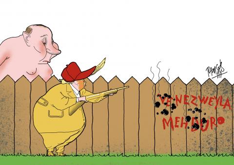 Adventures in the backyard 