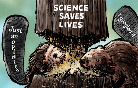 Cartoon showing two beavers eating through the trunk of a tree. The tree is labeled 'Science saves lives'. The beavers' tails are labeled 'Just an opinion' and 'I googled it'.