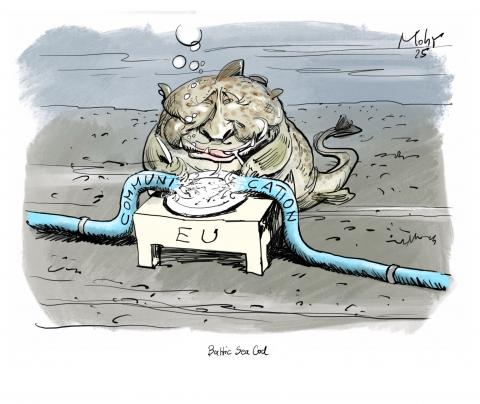 Putin as a cod eating the submarine cable in the Baltic Sea.