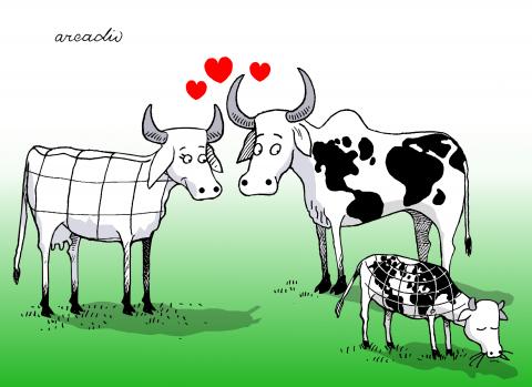 Humor just for smile.