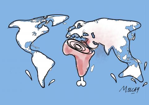 Sharks of the world