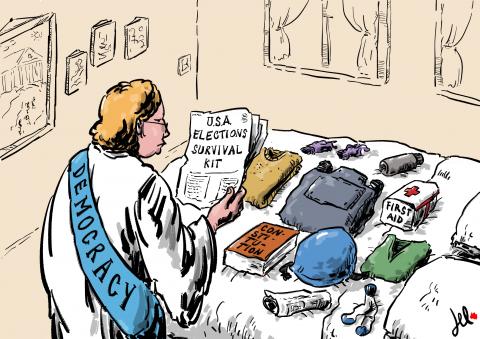 vote usa 2024 democracy del rosso cartoon