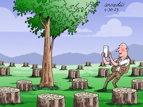Deforestation continues.