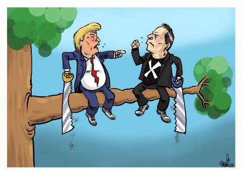 Two friends in a tree