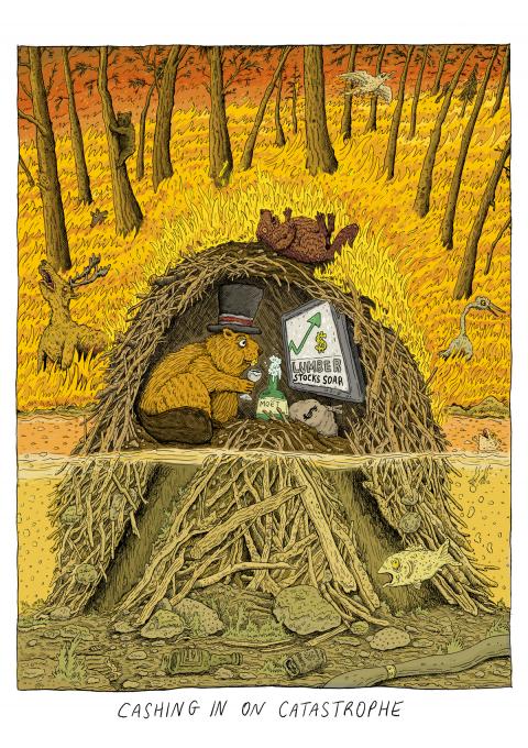 A beaver wearing a top hat sits drinking champagne in his burrow watching the news that lumber stocks are soaring, protected while outside other animals perish as the forest burns in a wildfire.