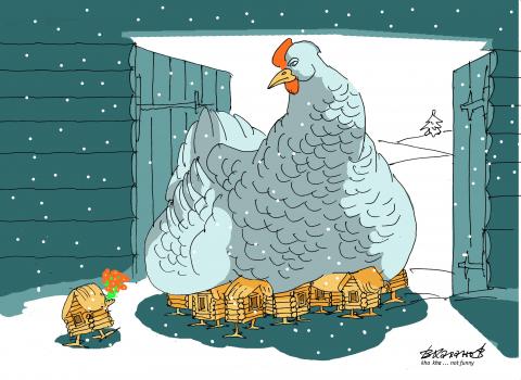 tomorrow May 4th International Respect for Chickens Day