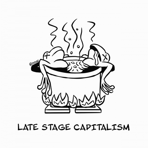 Cartoon showing two frogs in a pot of almost boiling water with a caption beneath that reads 'Late stage capitalism'.