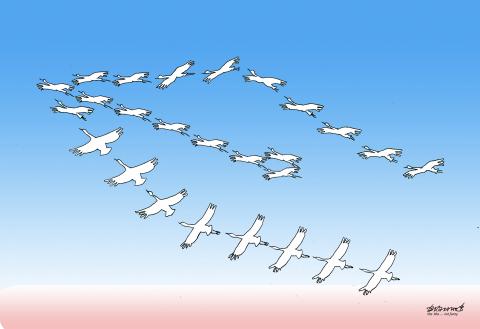 tomorrow May 8 is World Migratory Bird Day