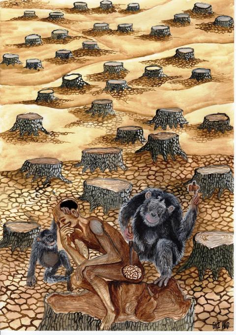 progress of civilization