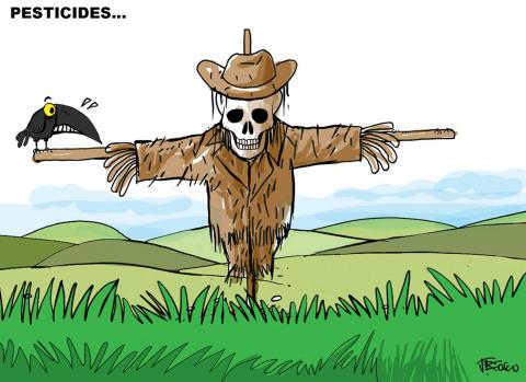 pesticides in food