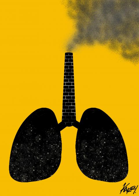 The effects of war on the environment