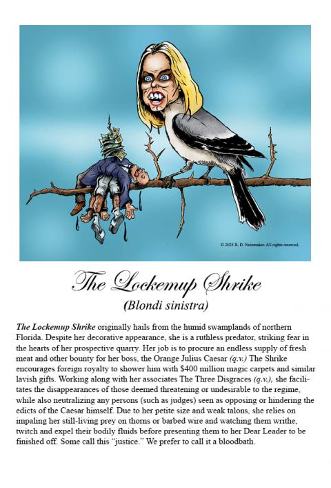 Lockemup Shrike Description