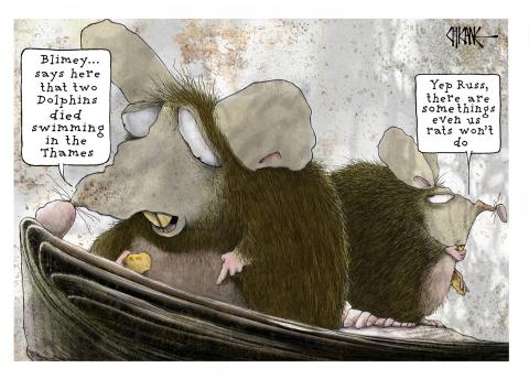 Two London rats near a rubbish can, one reading a paper, saying to the other,"Blimey...says here that two Dolphins died swimming in the Thames." The second rat replys," Yep Russ, there are some things even us rats won't do."