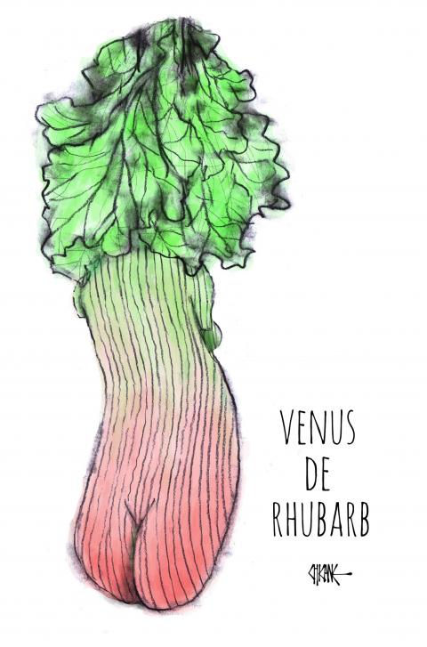 The 'Venus de Milo' is depicted as a rhubarb.