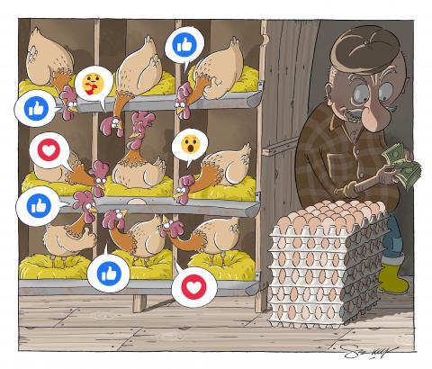 Cartoon showing a chicken coop. The chickens are all giving each other likes, hearts and emojis (shown with little speech bubbles), while to the side a farmer is counting his profits while standing next to a stack of cartoons filled with eggs.