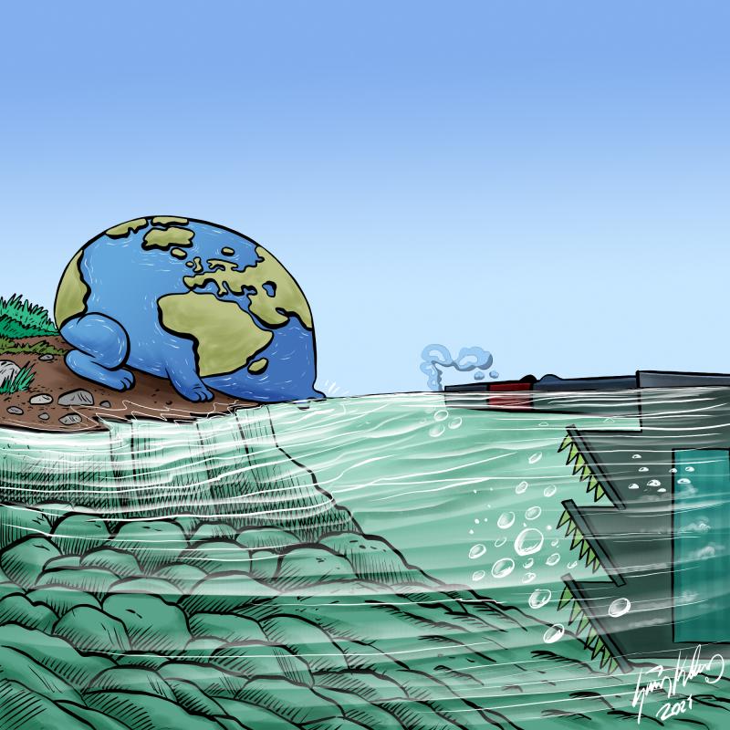 Environment and climate crisis