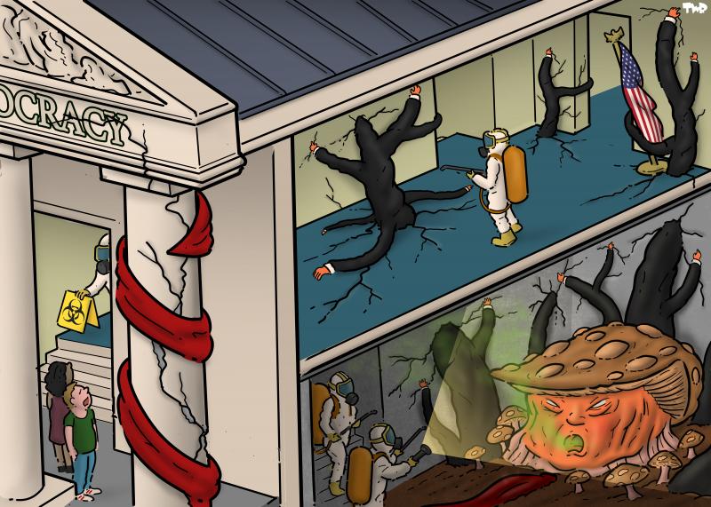 Cartoon showing the cross section of the temple of democracy. In the basement, a giant mushroom shaped like the head of Donald Trump is growing, sending out black tendrils with tiny orange hands at the end throughout the temple, causing cracks in the building. One tendril, shaped like a red tie, is wrapping itself around a pillar at the front of the temple. A fumigation team is inspecting the building, declaring it a bio hazard zone.