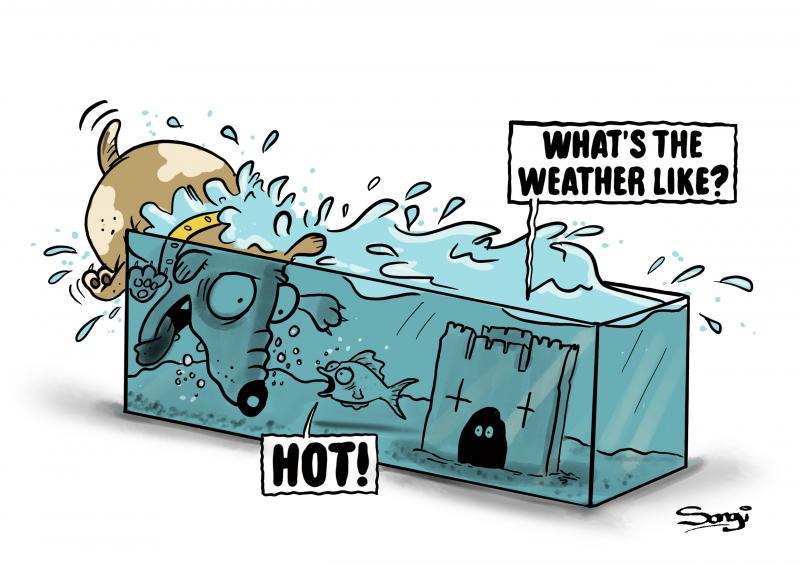 Weather Update