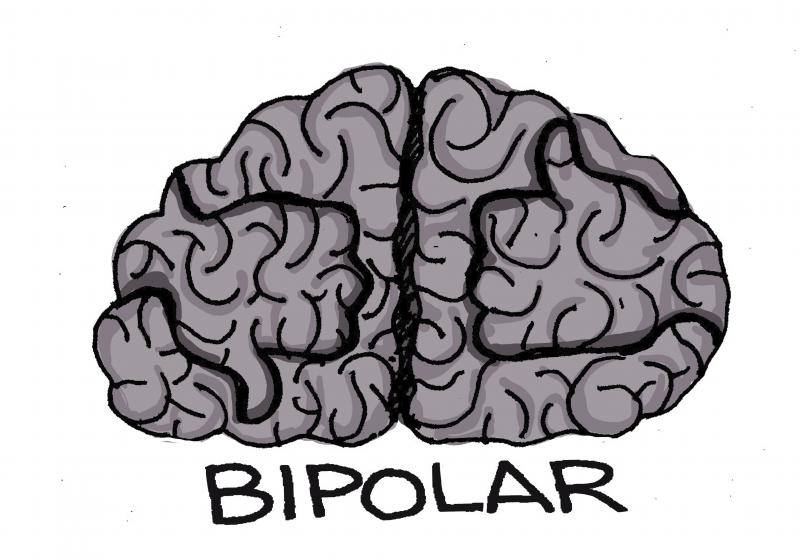Bipolar brain