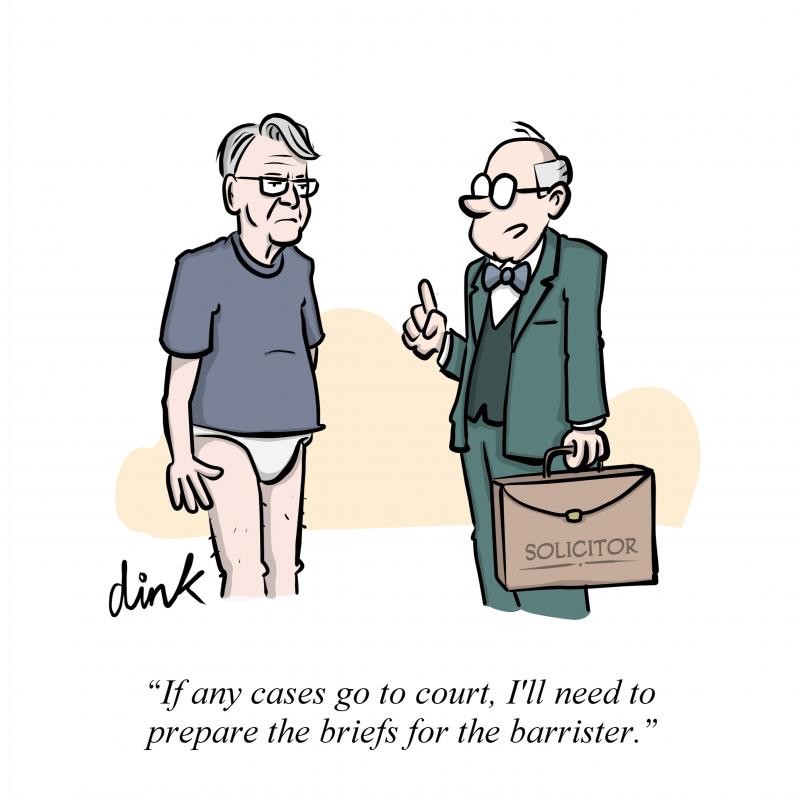 Peter Mandelson stands in a t-shirt and underpants as he did in the famous photo from the Epstein files. His Solicitor says to him 'If any cases go to court, I'll need to prepare the briefs for the barrister.'