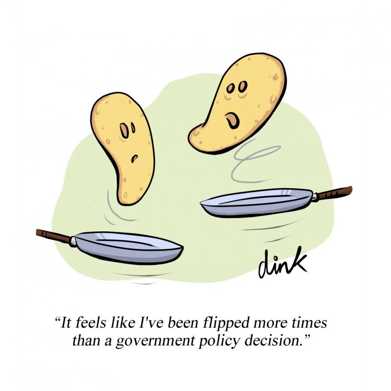 Cartoon - two pancakes being tossed from their frying pans. One says "It feels like I've been flipped more times than a government policy decision.”