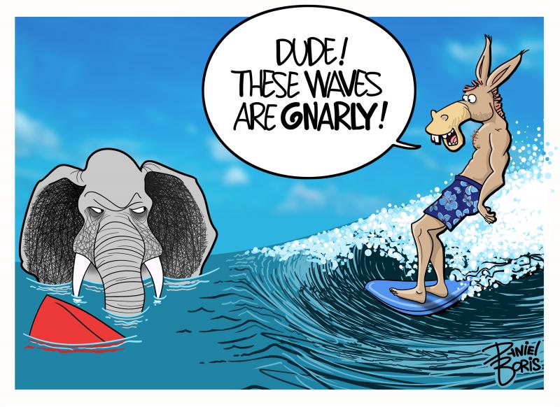Elephant and Donkey shown in the ocean. Donkey seen surfing a big wave, while the elephant is in calm water looking at the donkey in digust. Donkey: Dude! These waves are Gnarly!